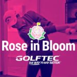 Rose on Bloom Horizontal 1920 × 1080